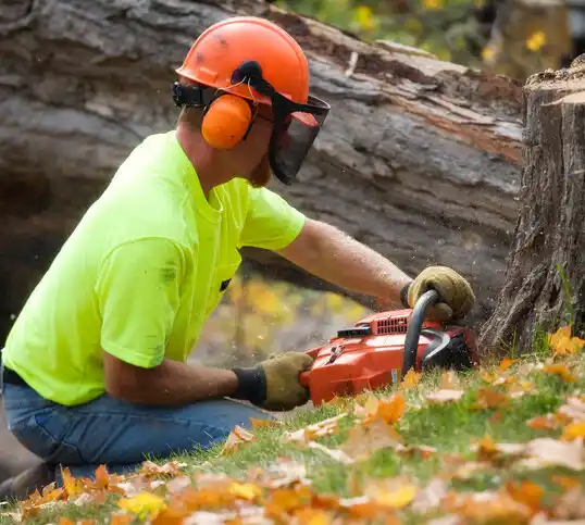 tree services Wharton